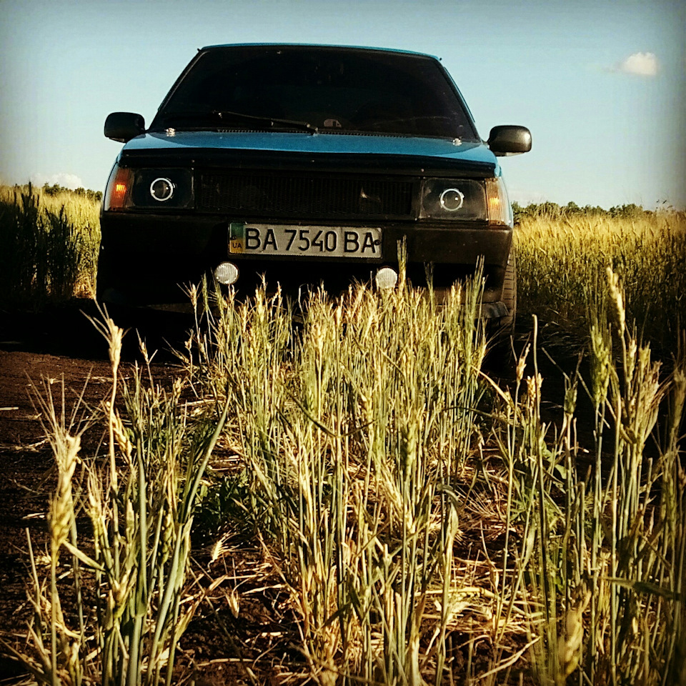 Просто фото 1
