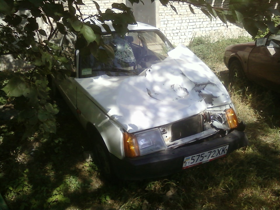 Ось така борода зросла. 4
