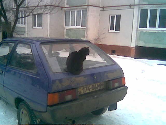 Бує! 3