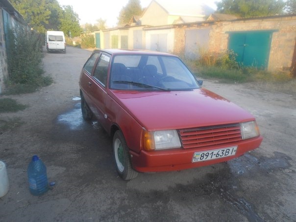 всім усім усім 3