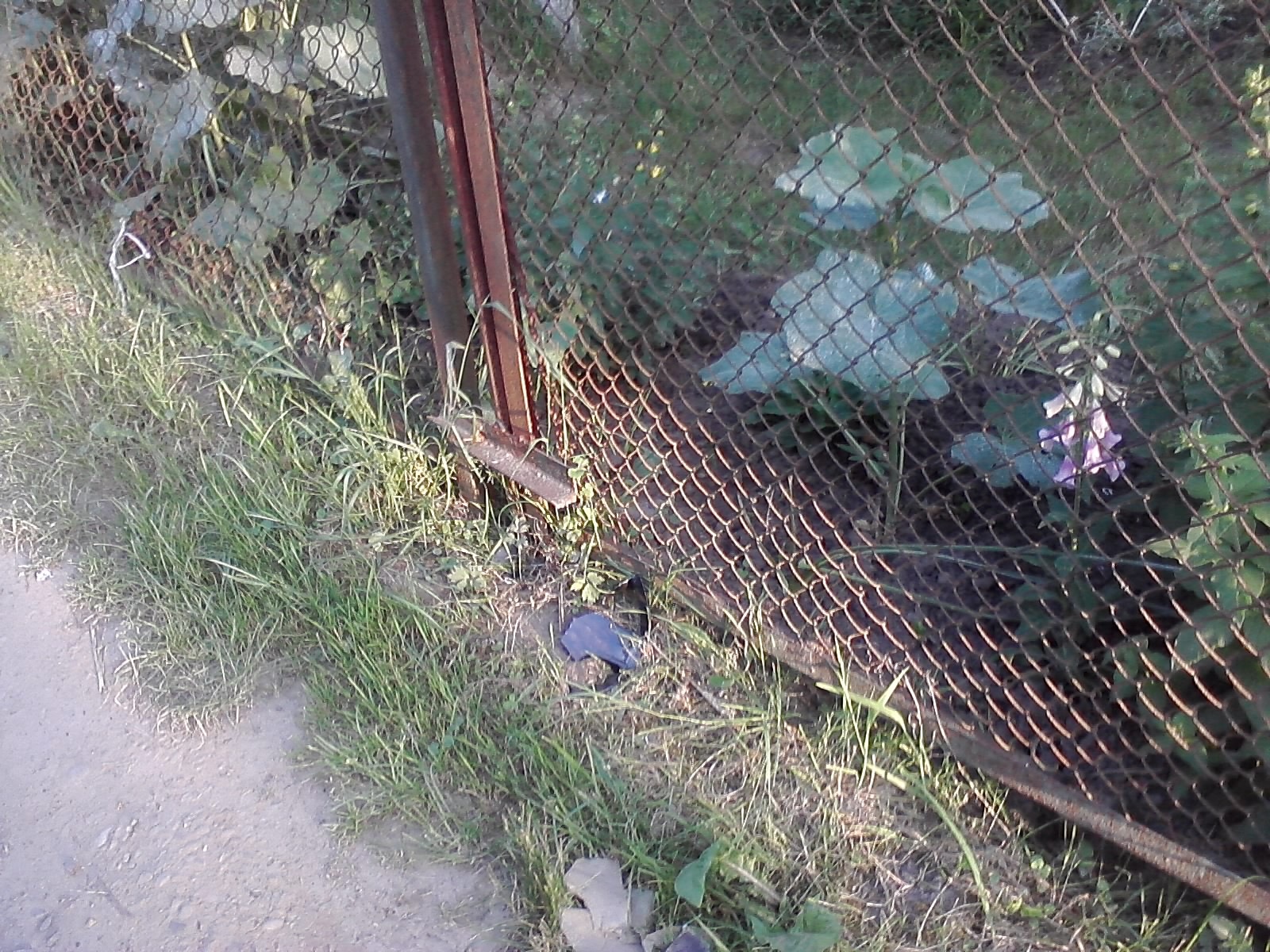 Сталося ДТП ... просто безглуздість.) 1
