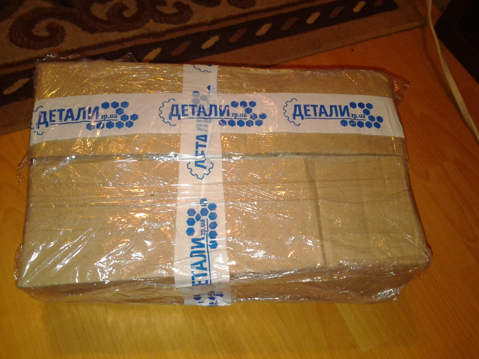 Перші шняжки у 2018-му році 1