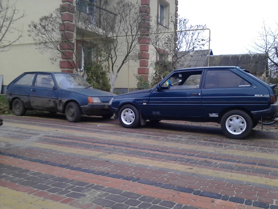 Попільня здоровий