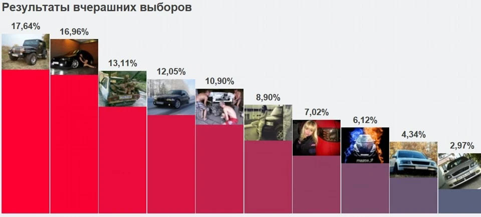 Вибори вибори