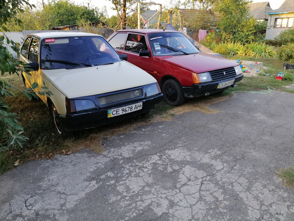 Фото 3