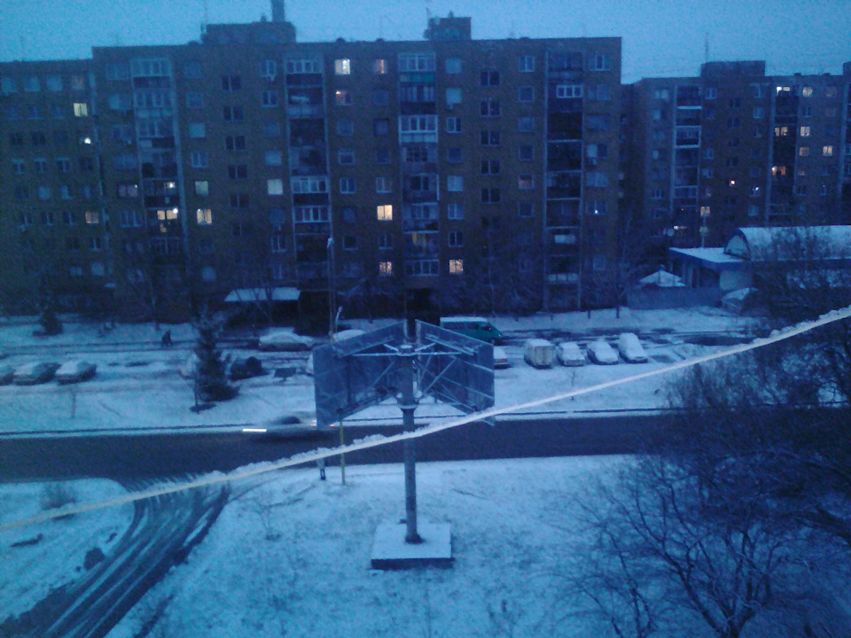 Перша зима Білки біля моїх рук 1