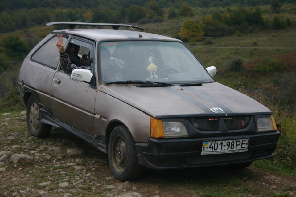 За грибами з Білкою 3