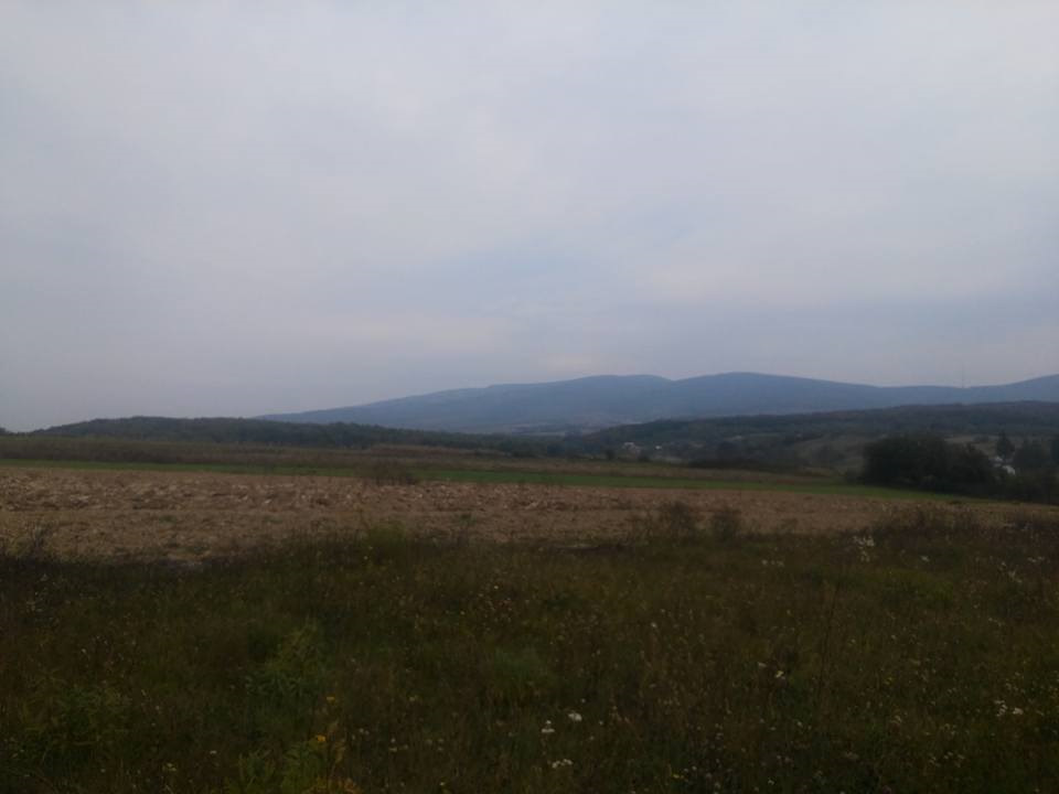 За Грушами на дачу 3
