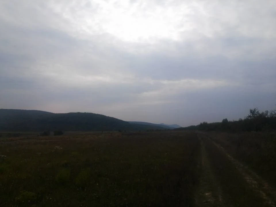 За Грушами на дачу