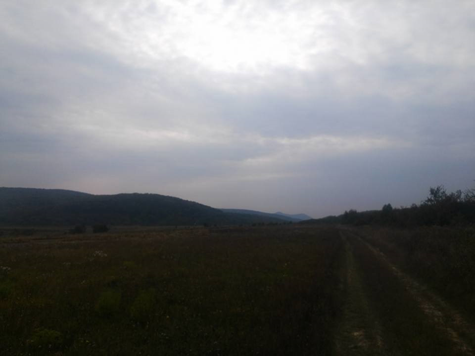 За Грушами на дачу 1