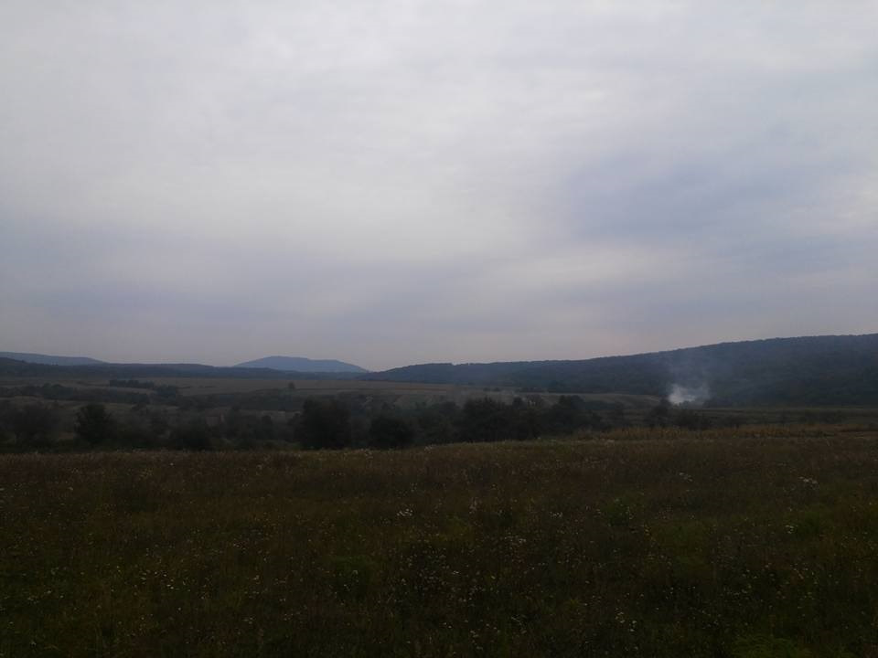 За Грушами на дачу 4