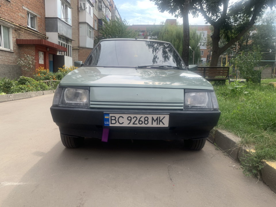 Вії зі скловокна та епоксидної смоли. 1
