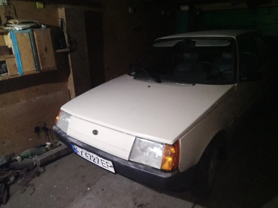 Приїхали на зимівлю))