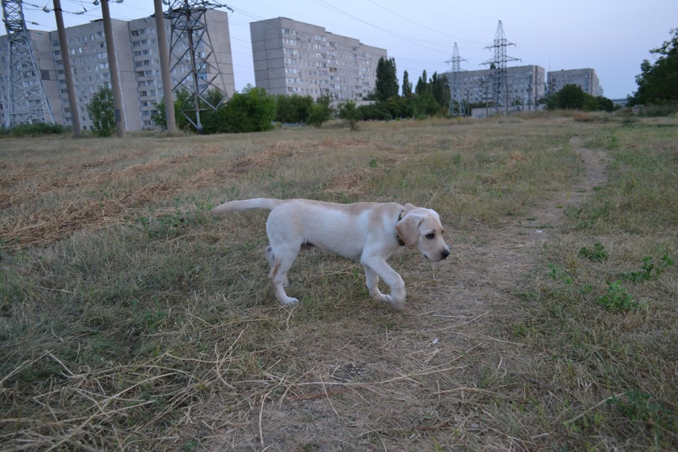 : «Полтергейст» 2