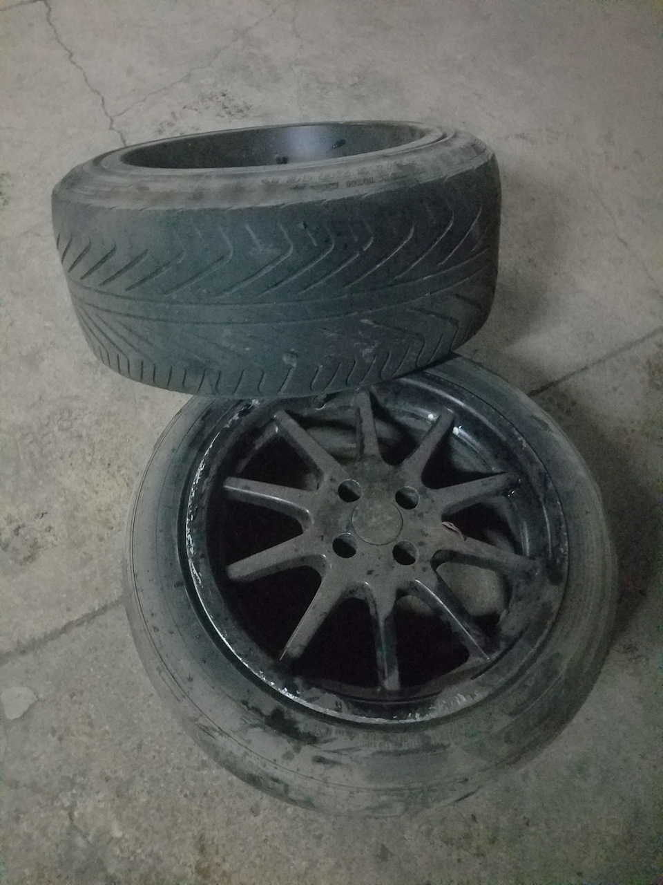 Тапки 1