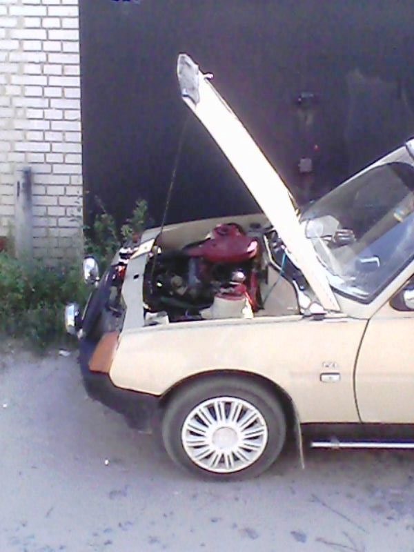 +1 ТАВРІЯ З АЛІГАТОРОМ) 3