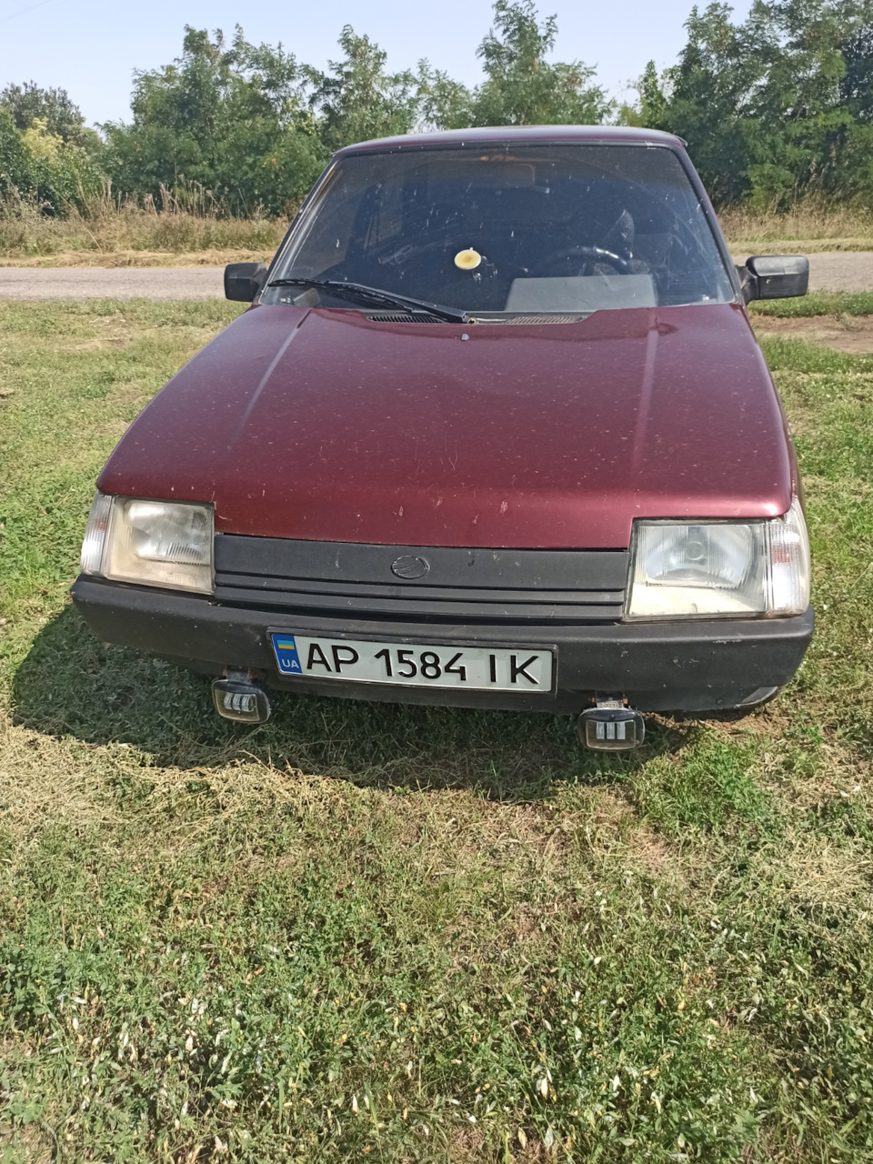 Фото на природі 2