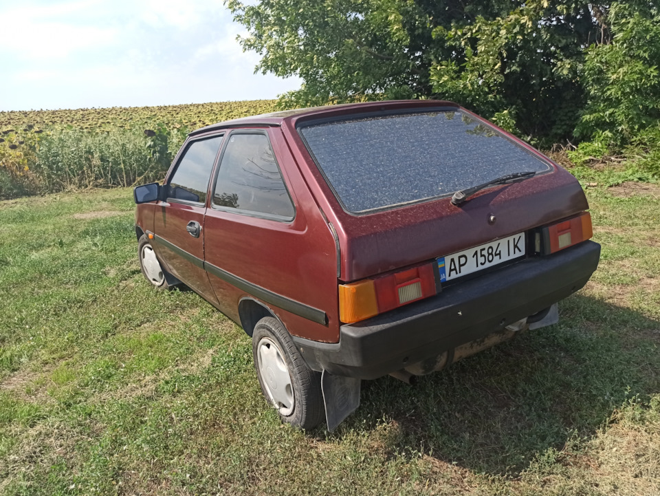 Фото на природі 1