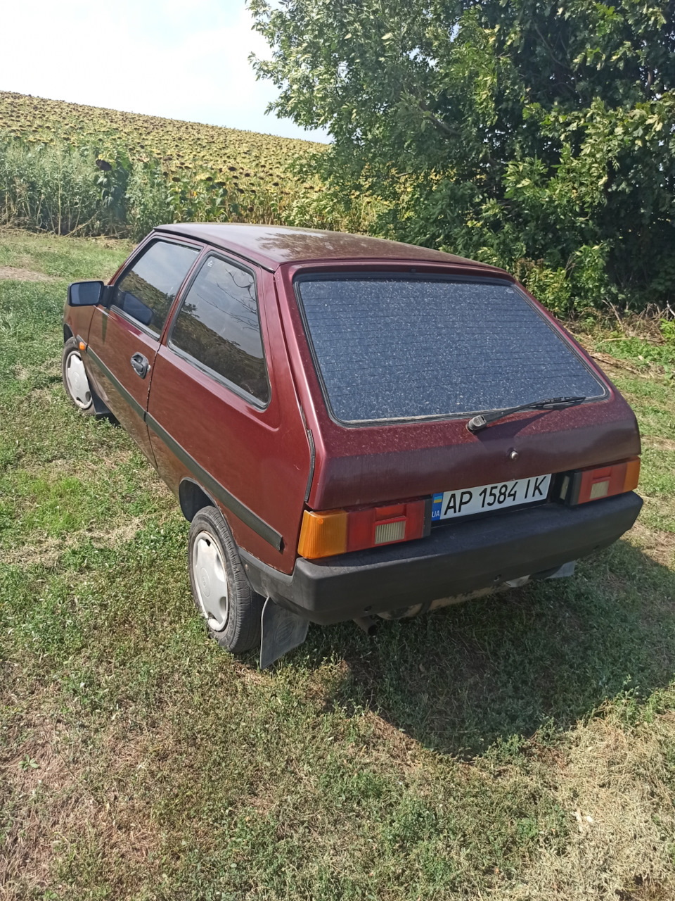 Фото на природі 4