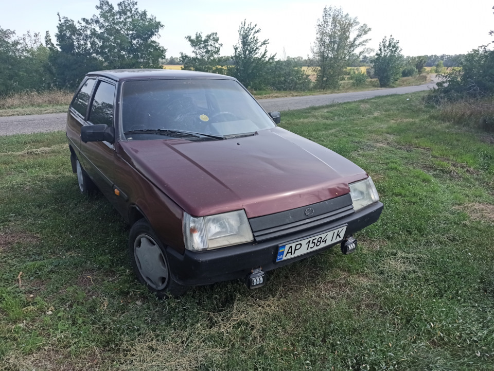 Фото на природі 3