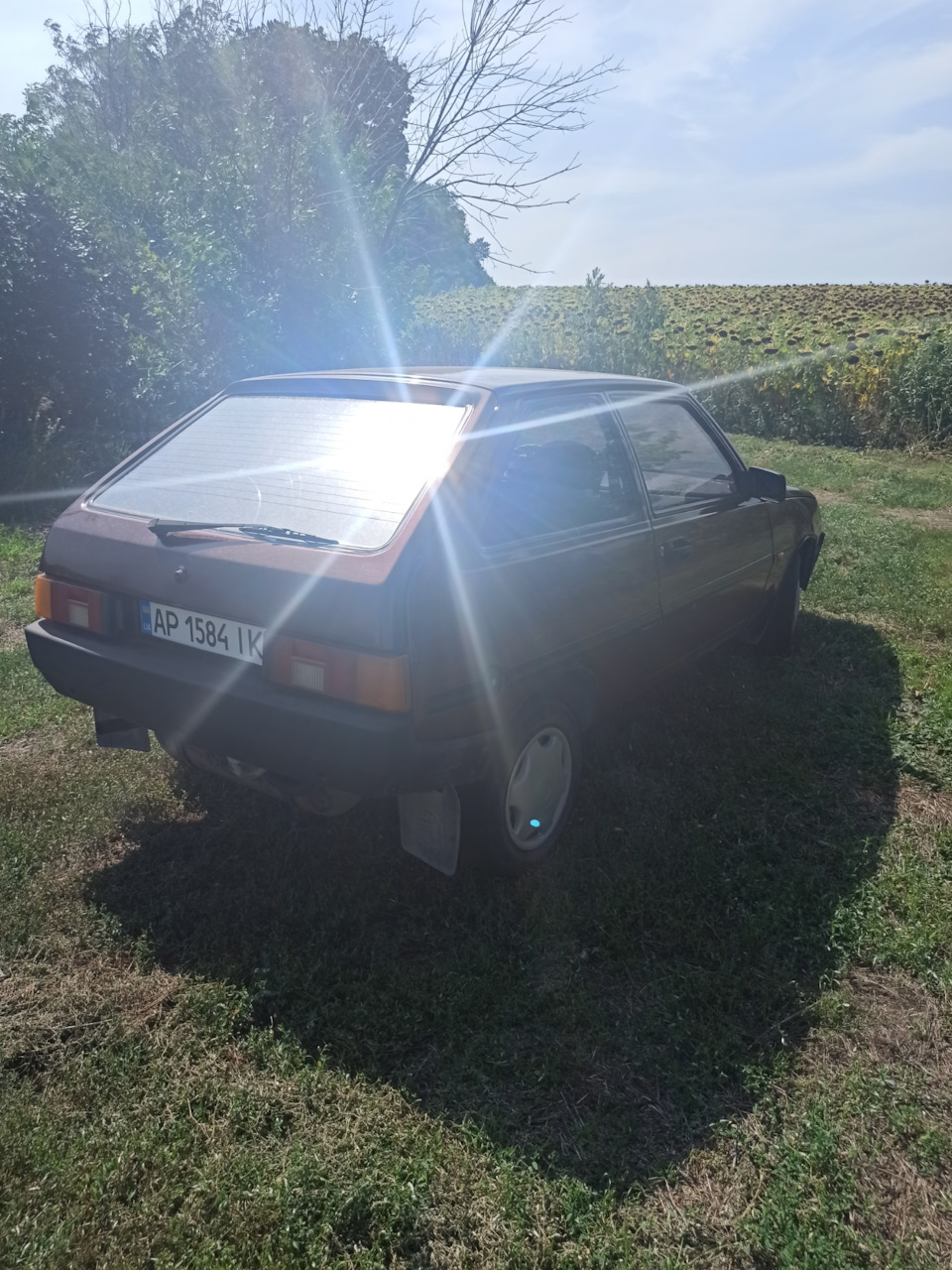 Фото на природі 5