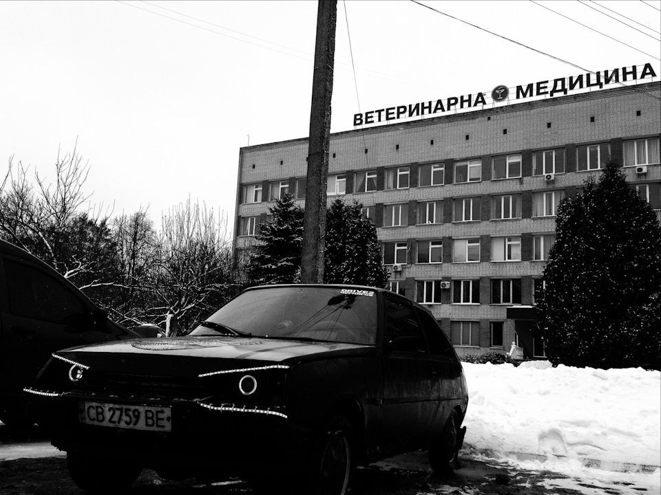 таврон 1
