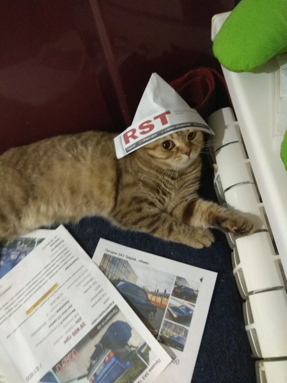Коте 1