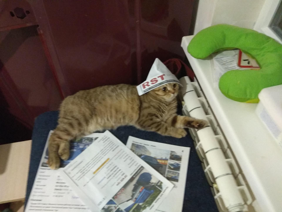 Коте 2