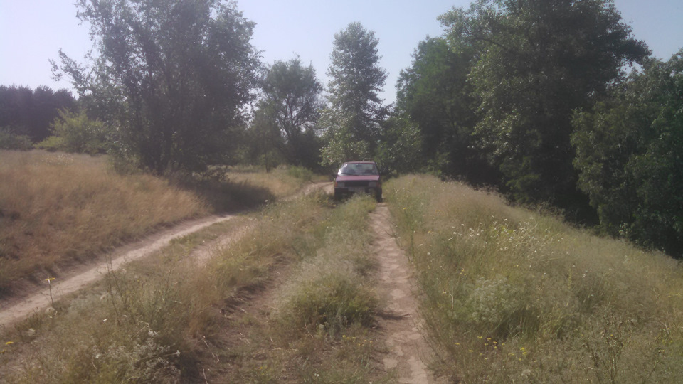 Виїзд на природу 3