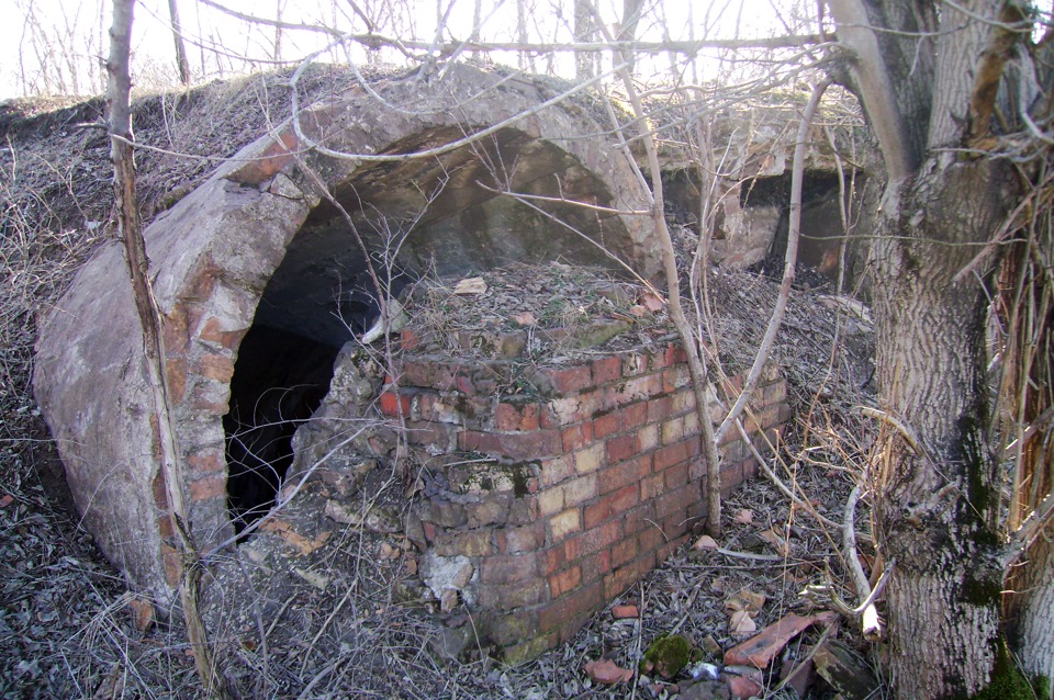 Як ми з другом вирішили прогулятися 5
