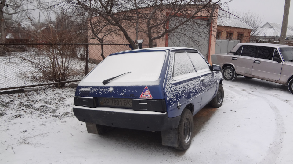 Ось майже і перезимували Грудень ) 1