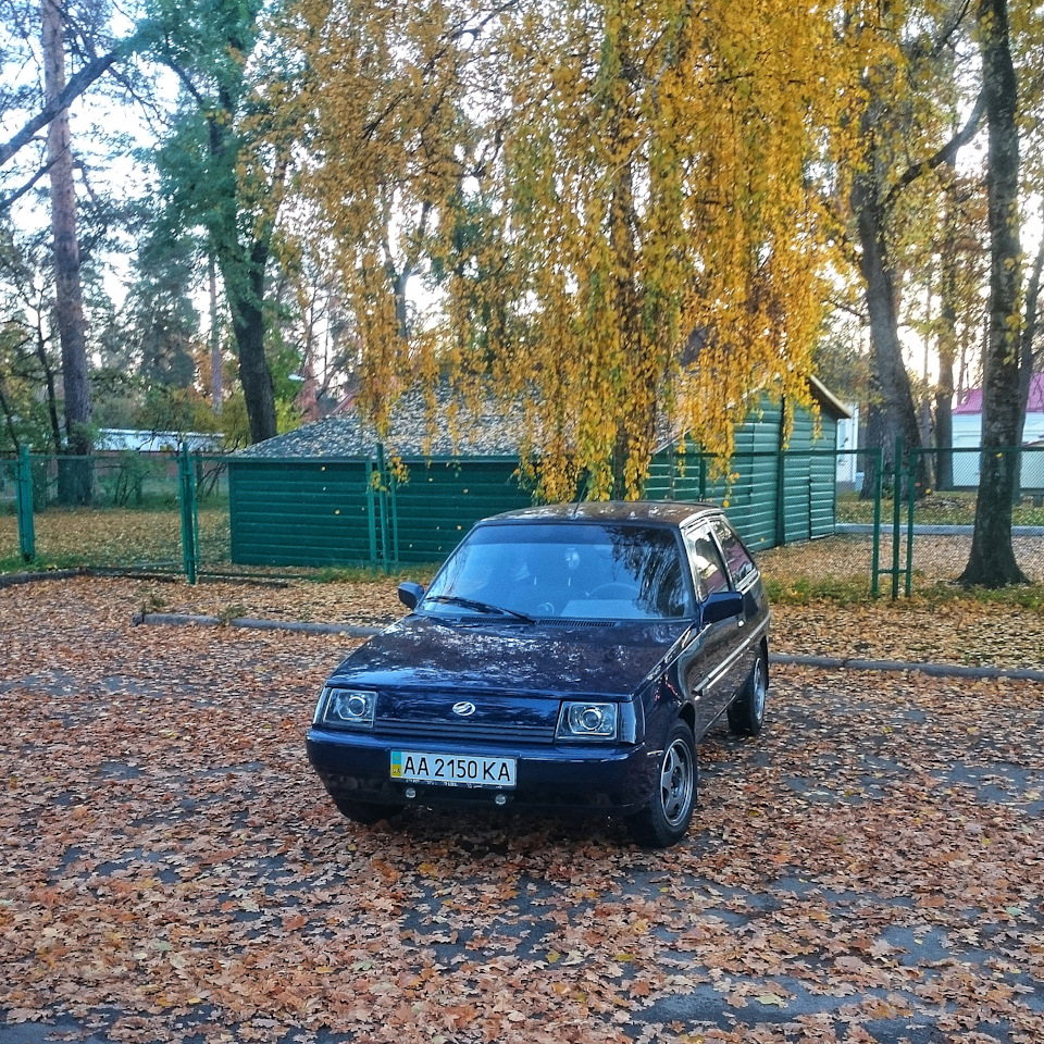 підшипники диференціала, зчеплення, легкий маховик. 1