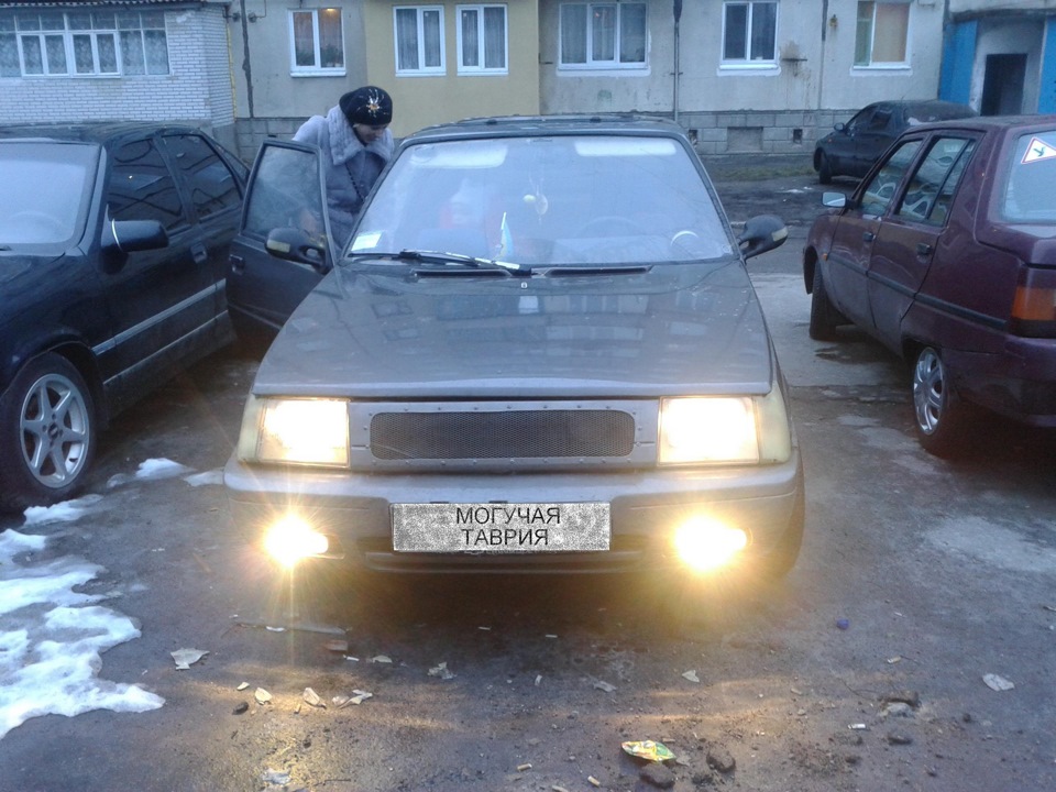 галогенки 1