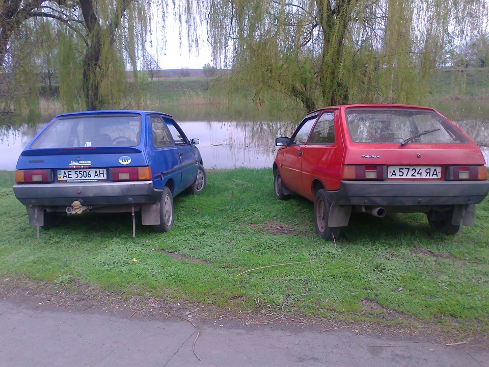 мої красуні=)))) 5