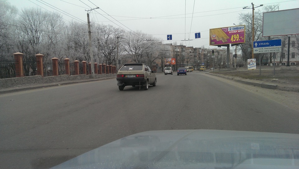 Спільна фотосесія з другом-тавроводом 1