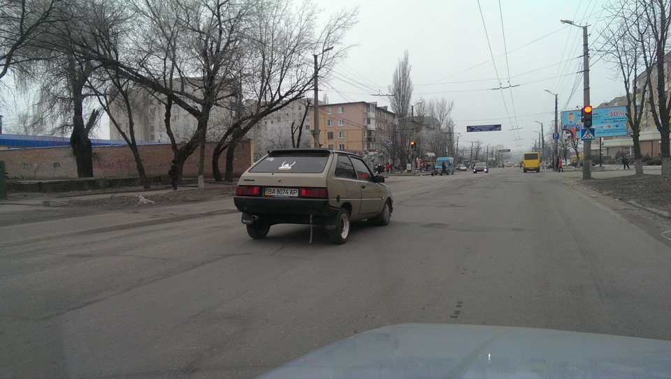 Спільна фотосесія з другом-тавроводом 4