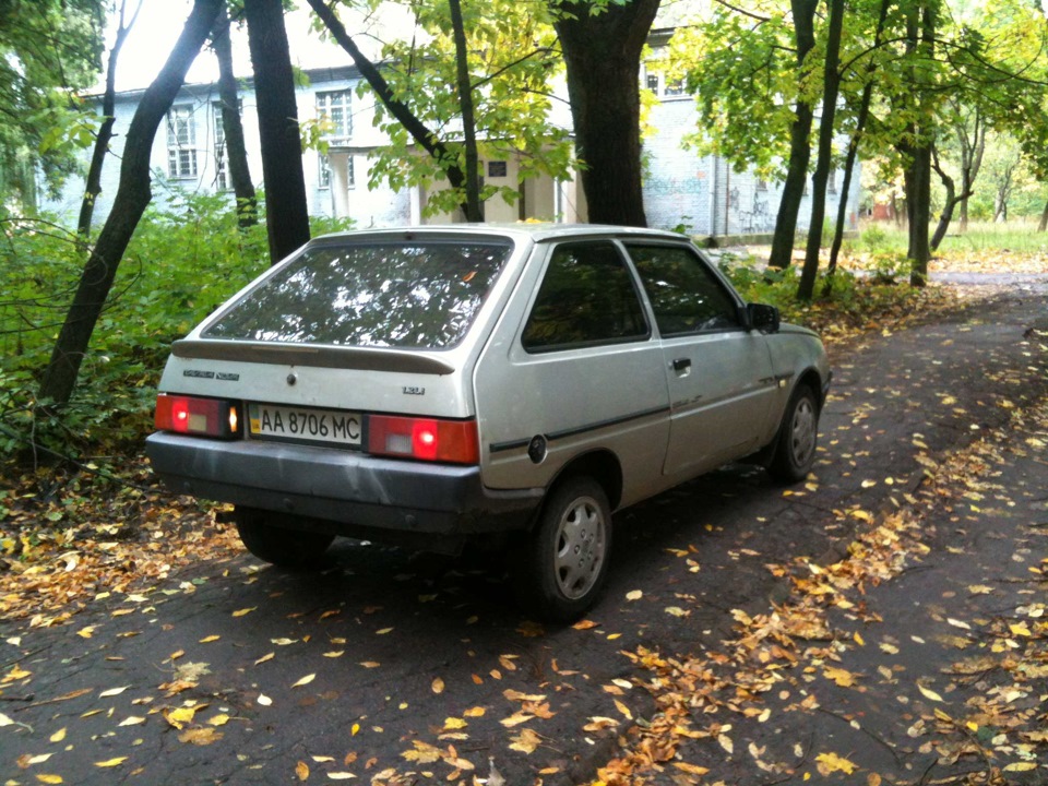 Перші фотографії 1