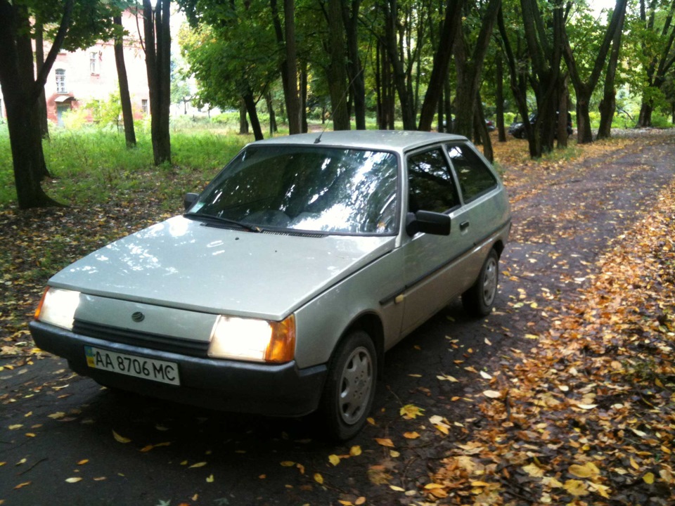 Перші фотографії 5