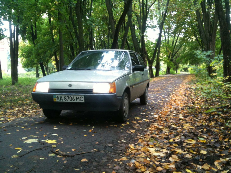 Перші фотографії 4