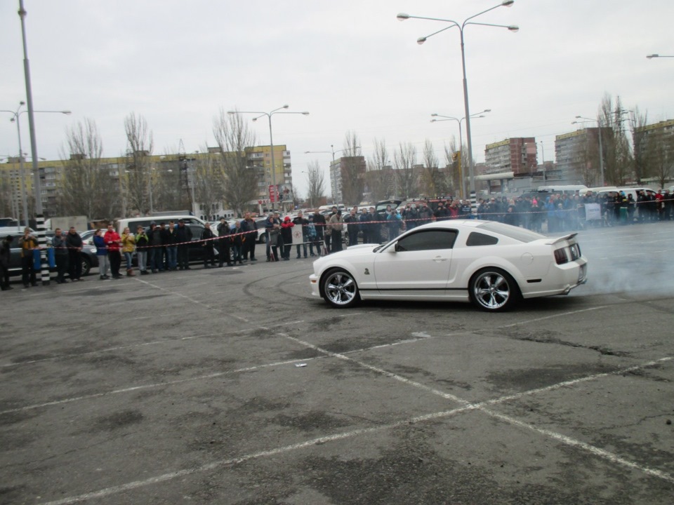 Автофестиваль директор 5