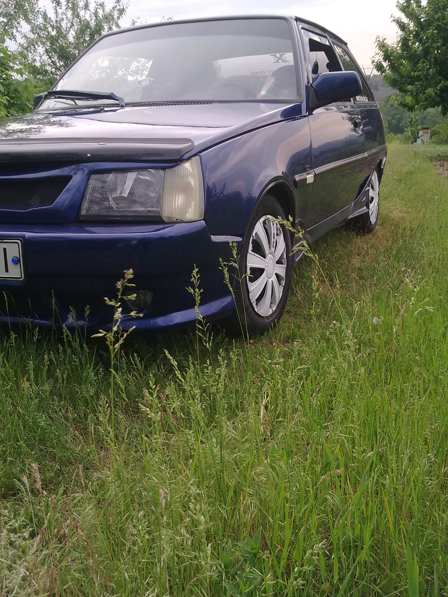 Дачний Фотосейшин. 1