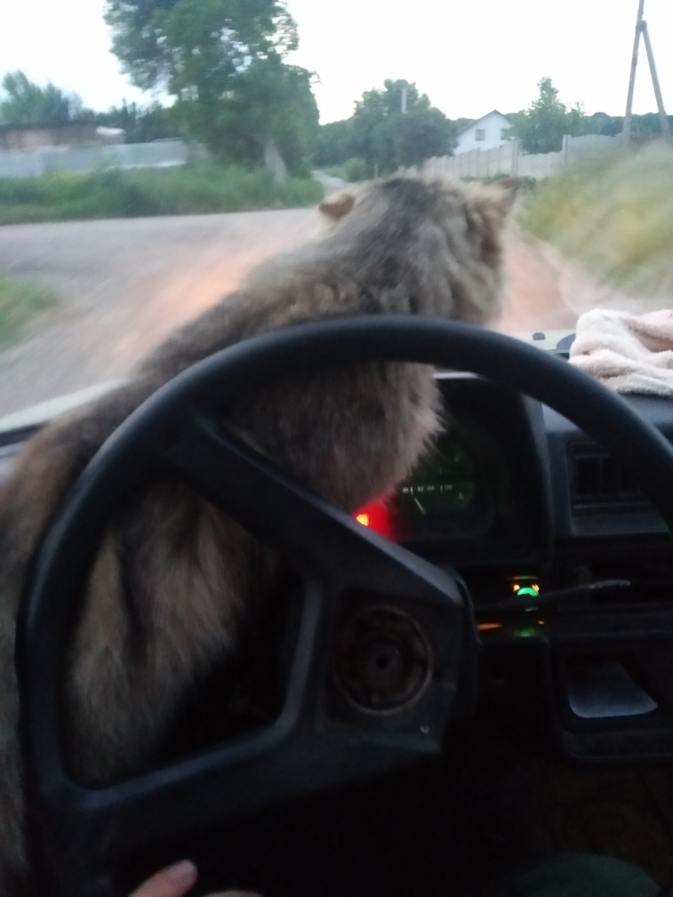 Про ті се. 3