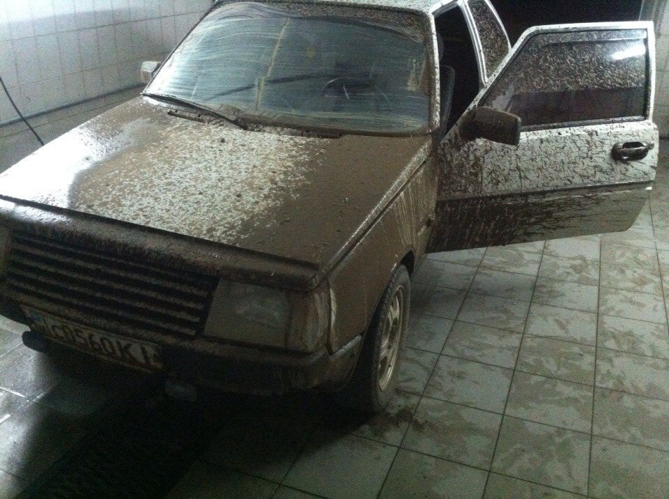 Сам виноват 1