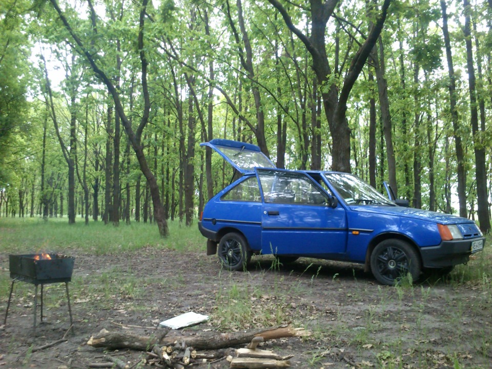 кілька фото + найближчі плани 2