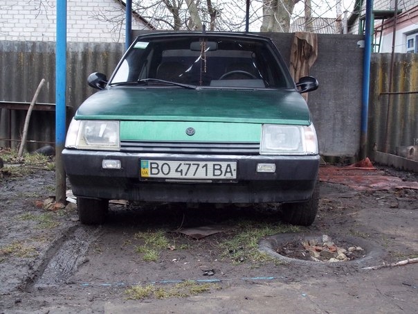 некоти до виконання таври 1