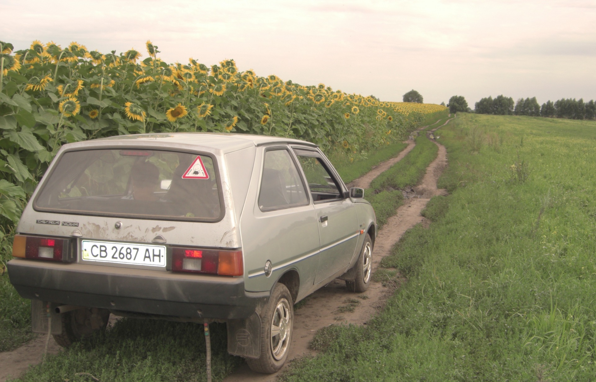 Запис, 30 липня 2011 3