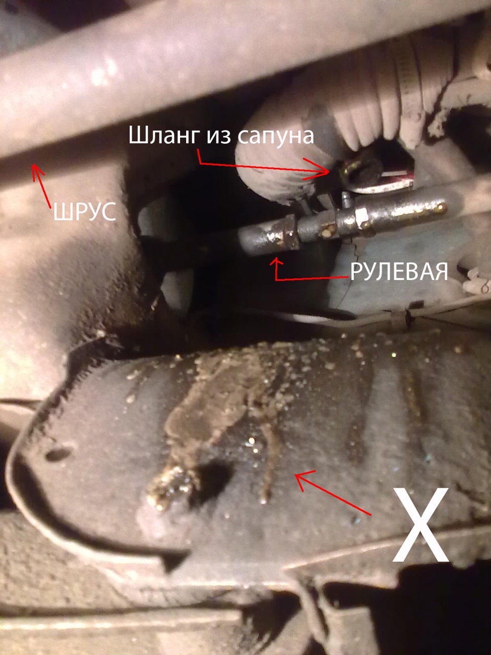 Предсвяткова діагностика = ( 2