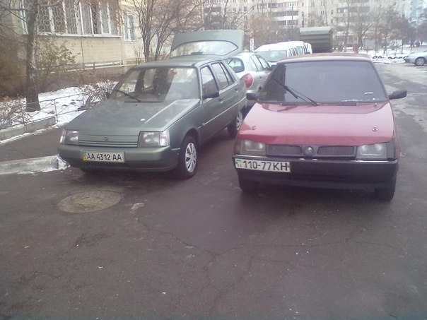 Тавролюшень і Жоповоз 1