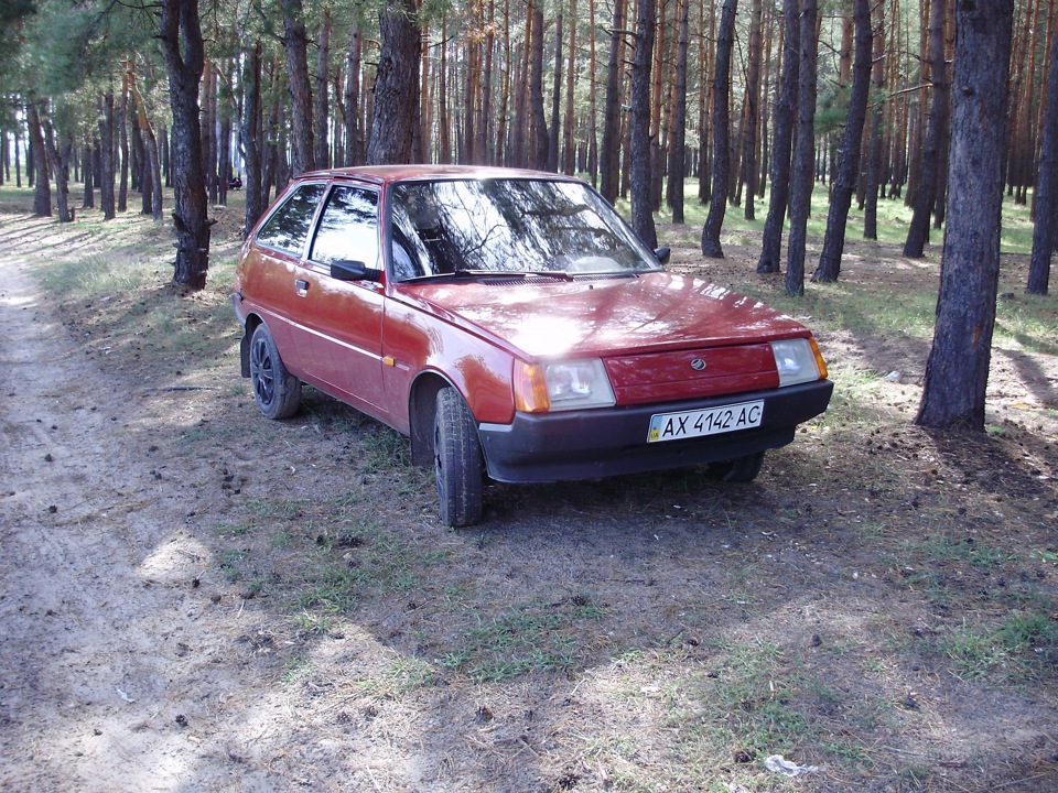 Фотки в лісі 1