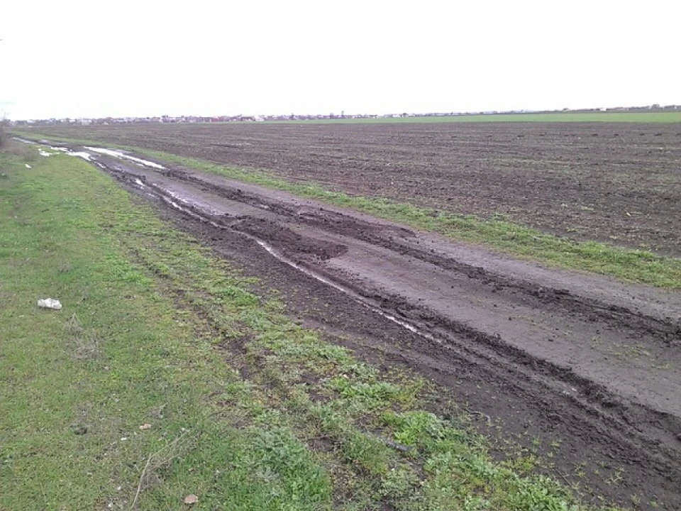 Поїздка на дачу в Світле
